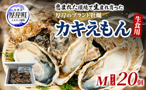 牡蠣 厚岸のブランド牡蠣 生食用 カキえもん Mサイズ 20個 [ 魚貝類 海鮮 海のミルク 国産 生食用殻付き牡蠣 まろやか クリーミー 食べやすい品種 海の香り 牡蠣の酒蒸し 焼き牡蠣 ]