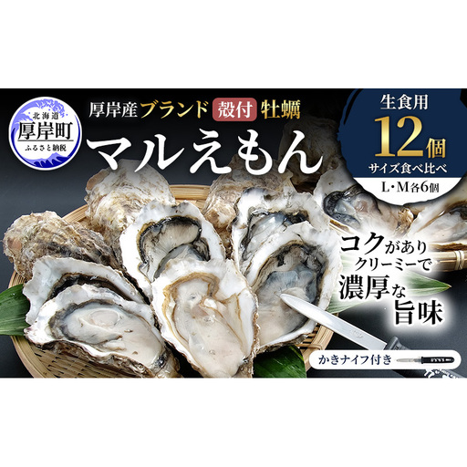 厚岸産 ブランド 殻付カキ マルえもん 生食用 サイズ食べ比べ 12個 (L・M各6個)[ 魚貝類 生牡蠣 かき 牡蠣 カキ 生ガキ 食べ比べ ]