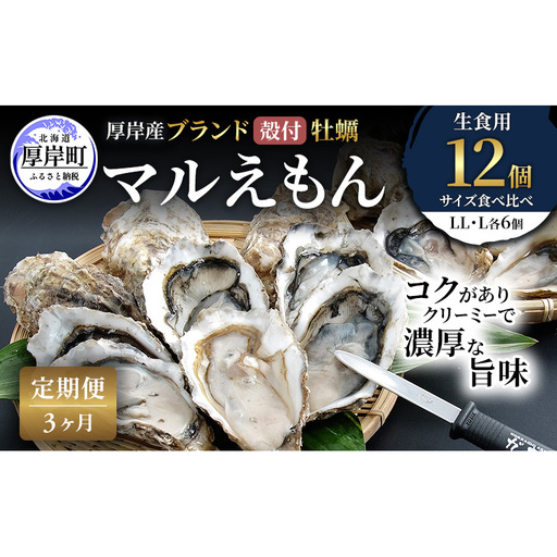 【 3ヵ月 定期便 】 厚岸産 ブランド 殻付カキ マルえもん 生食用 サイズ食べ比べ 12個 (LL・L各6個)[ 魚貝類 生牡蠣 かき 牡蠣 カキ 生ガキ 食べ比べ ]