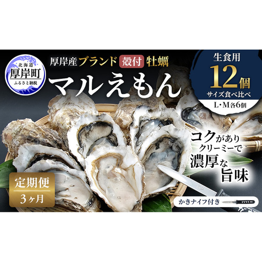 [ 3ヵ月 定期便 ] 厚岸産 ブランド 殻付カキ マルえもん 生食用 サイズ食べ比べ 12個 (L・M各6個)[ 魚貝類 生牡蠣 かき 牡蠣 カキ 生ガキ 食べ比べ ]