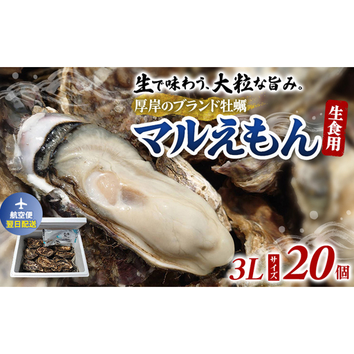 翌日配送 航空便 牡蠣 厚岸のブランド牡蠣 マルえもん 3Lサイズ 20個 生食用 魚貝類 海鮮 海のミルク 国産 生食用殻付き牡蠣 まろやか クリーミー 食べやすい品種 海の香り 牡蠣の酒蒸し 焼き牡蠣 マルえもん