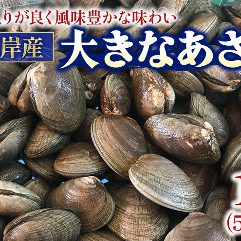 翌日配送 航空便 北海道 厚岸産 あさり 500g×2パック (合計1kg) 大中混合 アサリ 魚貝 海 美味しい 栄養 旨み 砂出し 水洗い 冷蔵 冷凍保存可能 便利