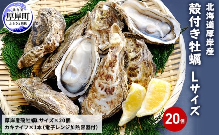 厚岸産 殻付き牡蠣Lサイズ20個入(加熱容器付)北海道 牡蠣 カキ かき 生食 生食用 ミルク レンジ