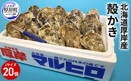 厚岸産 殻かき L20個セット 北海道 牡蠣 カキ かき  生牡蠣 殻付 魚貝類 マルえもん