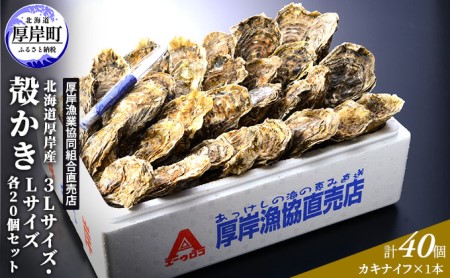 厚岸産 殻かき 3L 20個・L 20個セット (合計40個) 北海道 牡蠣 カキ かき 生食