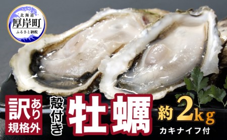 訳あり ハーフ 規格外 牡蠣 北海道厚岸産 殻付カキ 約2kg(11〜25個)カキナイフ付 生食