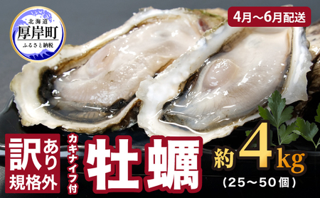2025年4月〜6月配送 訳あり 牡蠣 北海道厚岸産 殻付カキ 約4kg (25〜50個) カキナイフ付 生食