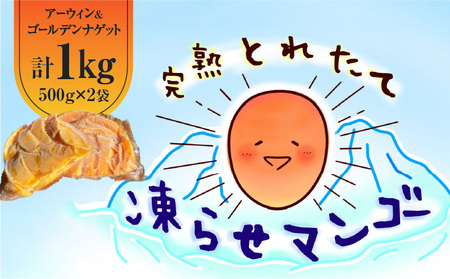 完熟 とれたて 凍らせ マンゴー セット （ アーウィン ・ ゴールデンナゲット ） C063-001 果物 フルーツ くだもの 芒果 甘い あまい 美味しい おいしい ジューシー とろける 希少品 濃厚 冷凍 全国発送 贈答用 化粧箱 にしだ農園 ふるさと納税 知名町 おすすめ ランキング プレゼント