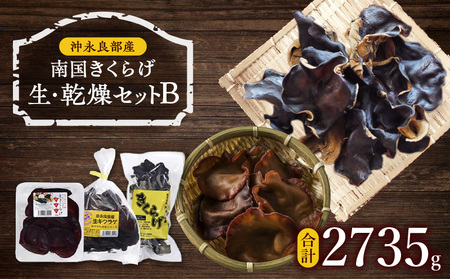 썑 炰  E  ZbgB C070-003 LNQ L@ ~l   oKX  ₳ iǕY iǕ 炰 LNQ 炰  u ؃X[
