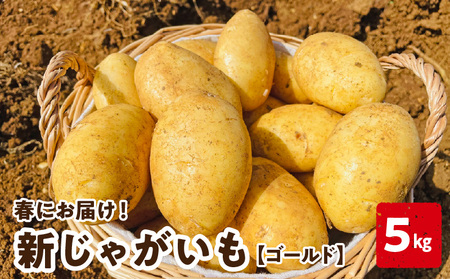 y 2026N s\ t z V Ⴊ S[h 5kg  3͂  C056-006-01 WKC VႪ VWK  ₳  Ԍ st s \  VN c_ ӂ