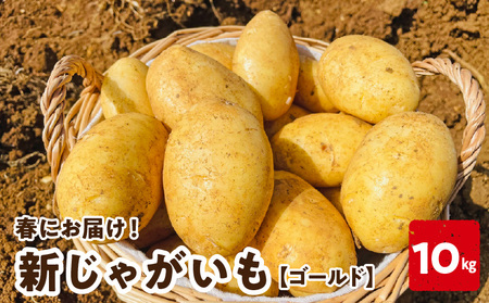 y 2026N s\ t z V Ⴊ S[h 10kg  3͂  C056-006-02 WKC VႪ VWK  ₳  Ԍ st s \  VN c_ 