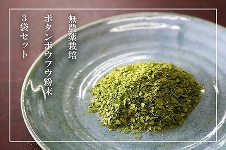 [無農薬栽培]ボタンボウフウ(長命草)粉末 3袋セット