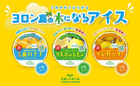 ヨロン島の木になるアイス(Aセット:リスボンレモン・イシカッタ・島バナナ)
