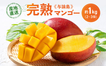 「2026夏発送」★厳選★ 完熟 与論島マンゴー 1kg(2〜3個)[数量限定][産地直送][先行予約]