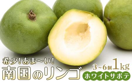 希少!あま〜い南国のリンゴ[ホワイトサポテ]1kg(3〜6個)