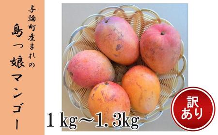 【訳あり家庭用】ヨロン島産島っ娘マンゴー 1kg～1.3kg　約3～4玉　白箱入り