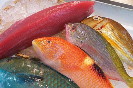 [泊漁港直送] 沖縄美ら海まぐろと旬の沖縄鮮魚セット