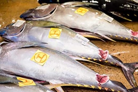 y`z C܂ 2Kgb@܂@lC@CN