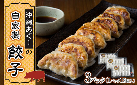 沖縄あぐーの自家製餃子