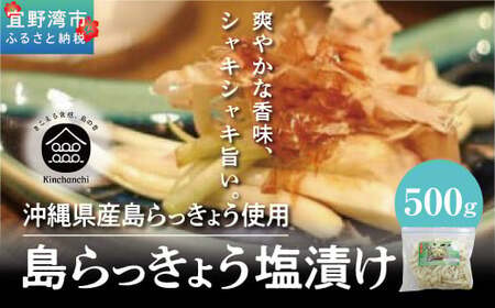 島らっきょう 塩漬け 500g