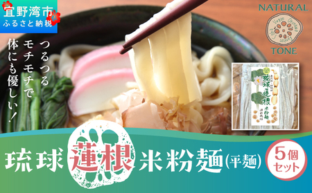 湧水栽培!琉球蓮根の米粉麺 (128g) 平麺 5個セット 国産 [ 小麦不使用 グルテンフリー 無添加 化学調味料不使用 ベジタリアン ヴィーガン ] 