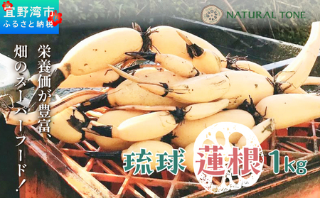 [令和7年10月以降発送]琉球蓮根 1kg 豊富な湧水とミネラルたっぷりの土で育った自然栽培の蓮根 [農薬 科学肥料 不使用] 