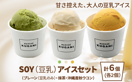 SOY(豆乳)アイス 6個セット (プレーン(豆乳のみ)・抹茶・沖縄産秋ウコン) 3種類 各2個 
