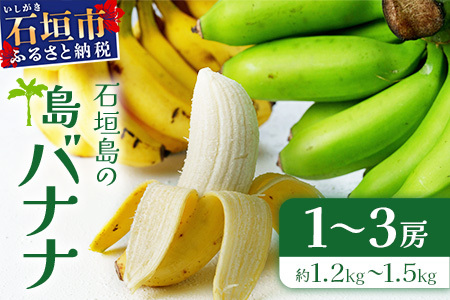 [先行予約]石垣島の島バナナ、1〜3房(約1,2〜1,5kg前後入り)[4月中旬〜順次発送]爽やか酸味のスッキリ系バナナ、少し冷やしてもイイんです!  