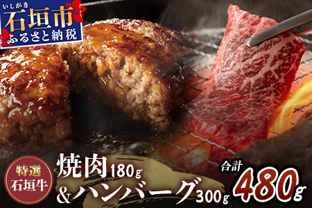 特選石垣牛100%ハンバーグ100g×3個+特選石垣牛元卸お任せ焼肉180gセット I-17-1