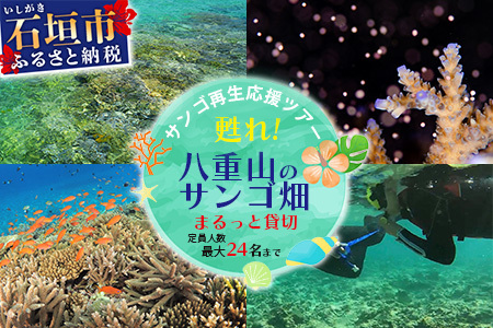サンゴ再生応援ツアー 〜甦れ!八重山のサンゴ畑〜(24名まで) JL-2 ※ご寄付の前にご予約お願いします。