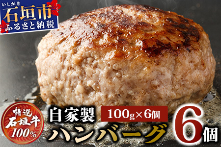  јa Ί_ 100% Ɛ no[O 100g × 6 600g   I-21