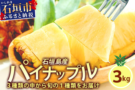 石垣島産パイナップル 2〜6個 約3kg