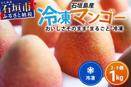 [先行予約]石垣島産まるごと冷凍マンゴー 2〜5個 約1kg EF-7