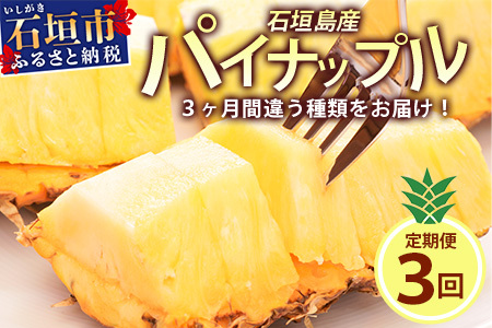 【予約受付】【定期便】石垣島産 パイナップル 3回 定期 3種 計6玉【2025年 4～5月頃・5月・6月頃お届け】 ふるさと納税 パイナップル パイン フルーツ 果物 果実 定期便 定期 3回 3か月 沖縄県 石垣市 石垣島 産地直送 ふるさと 人気 送料無料 KP-18