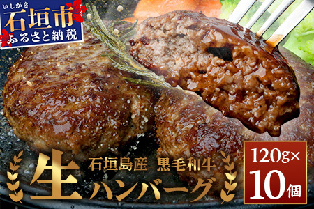 石垣島産 黒毛和牛 生ハンバーグ 120g x 10個  UN-2