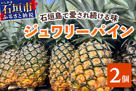 [予約受付][2025年5月下旬〜7月中旬発送]最高糖度18度!? 完熟の極 石垣島産ジュワリーパイン [ 沖縄県 石垣市 石垣島 完熟 パイン パイナップル ジュワリー 予約受付 ]TF-16-1