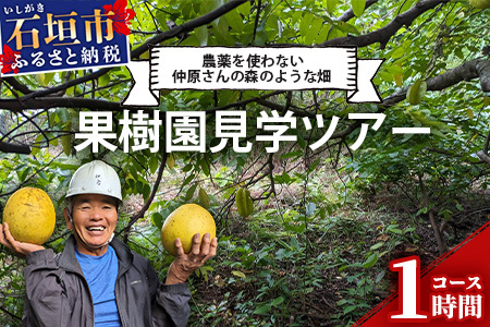 1回1組限定プライベート体験ツアー!農薬を使わない、仲原さんの「森のような畑」[ 沖縄 石垣島 畑 果樹園 見学 体験 ツアー 食育 野菜 果物 沖縄のいいもの石垣島 ]OI-21