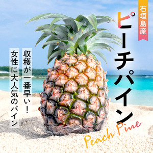 �y��s�\��z�s2026�N5���ȍ~�����t�Ί_���Y�E��ʃs�[�`�p�C�� 6�� ��6.0kg�y ���ꌧ�Ί_�s �Ί_�� �t���[�c �ʕ� �p�C�� �p�C���A�b�v�� �p�C�i�b�v�� �Y�n���� �zSI-038