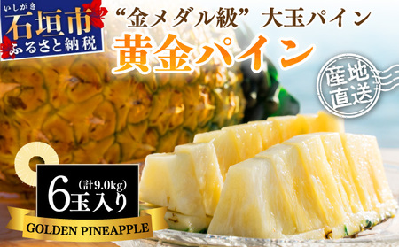 2026�N�y��s�\��z�s2026�N7���ȍ~���������t�����p�C�����6�ʓ� �v��9.0kg�y �Y�n���� ���� �Ί_ �t���[�c �p�C�i�b�v�� �p�C�� �����p�C�� �z SI-053