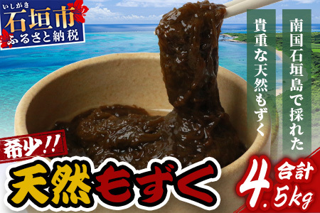 Ί_YVR10pbNEe450g×10 v4.5kg | ꌧ Ί_s VR _ C  tRC_ 퉷ۑ  SI-64