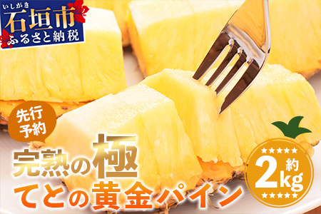 s2026N5{ȍ~tys\zɓMIH n̋ ĂƂ̉pCʖ2kgy  Ί_ S[f pC pCibv n Zbg t[c fU[g z TF-31