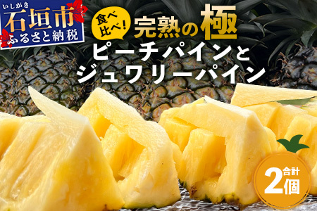 [2026年5月〜7月順次発送][先行予約]最高糖度20度以上!? 完熟の極 石垣島産ピーチパインとジュワリーパインの食べ比べセット[ 沖縄 石垣 ジュワリー ピーチ パイン パイナップル 完熟 セット フルーツ デザート 食べ比べ ] TF-32_R8