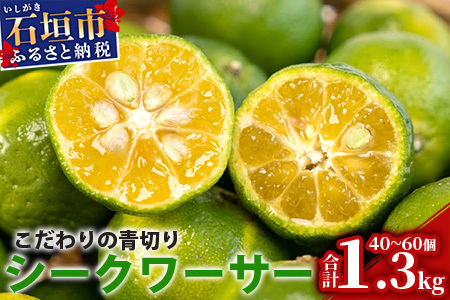 ys\z2026N8ȍ~ ̐؂V[N[T[ 1.3kg 40`60 y Yn  Ί_ Ί_ dR V[N[T[ k t[c  ʕ z TF-041