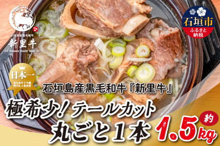 Ί_Y јa V Ɋ󏭁I e[Jbg1{ 1.5kgi1`1.5kgj SZ-43