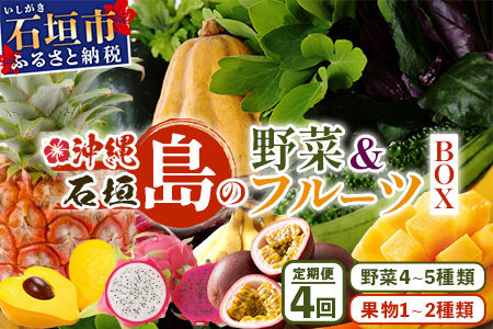 [4回定期便]沖縄県 石垣島の野菜・フルーツBOX ≪野菜4〜5種類、フルーツ1~2種類≫(1箱×4回)じょーとーまーさん(とても美味しい) 石垣島の野菜とフルーツの詰め合わせセットをお楽しみください!!