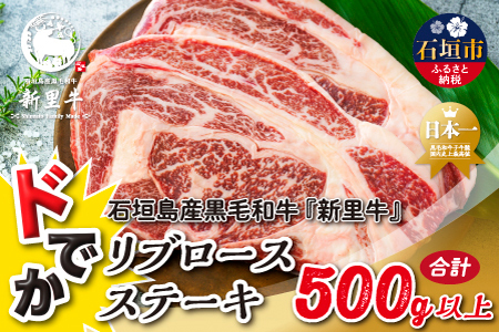 Ί_Y јa V ǃfJu[XXe[Lis200`300g×2jv500gȏ Xe[L ē o[xL[ SZ-33