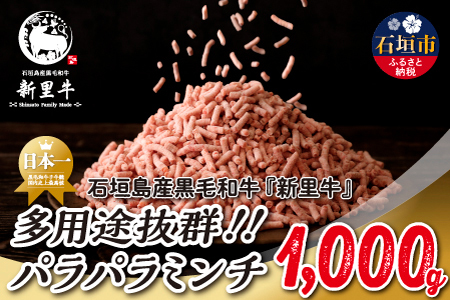 Ί_Y јa V prQIpp~`i1kg×1j1kg SZ-46