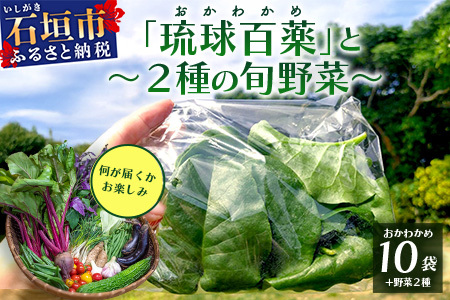 [予約受付]沖縄の健康長寿の秘訣「琉球百薬(おかわかめ)」10袋と旬おまけ野菜詰め合わせ!農薬を使わない栽培方法を続けるミネイさん野菜 2025年2月上旬以降〜順次発送[ 沖縄 石垣島 石垣島産 セット 詰合せ 農薬不使用 離島いいもの いいもの石垣島 ]OI-24