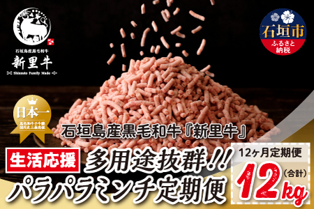 石垣島産 黒毛和牛 新里牛 多用途抜群!パラパラミンチ 定期便全12回(毎月1kg×12回)合計12kg