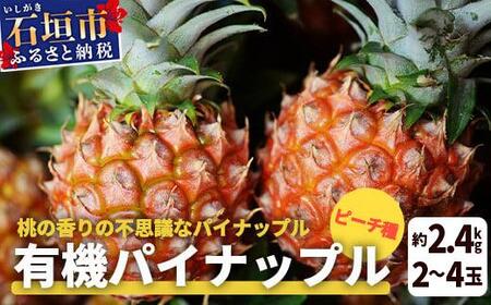 [先行予約] 石垣島産 有機パイナップル ピーチ種 2〜4玉 (約2.4kg)[6月上旬順次発送]| パイナップル パインアップル 石垣島パイン フルーツ 果物 くだもの 南国フルーツ 国産パイン